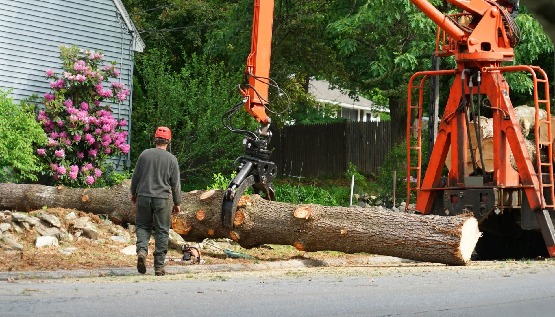 Local partner for Tree removal services in Greenville