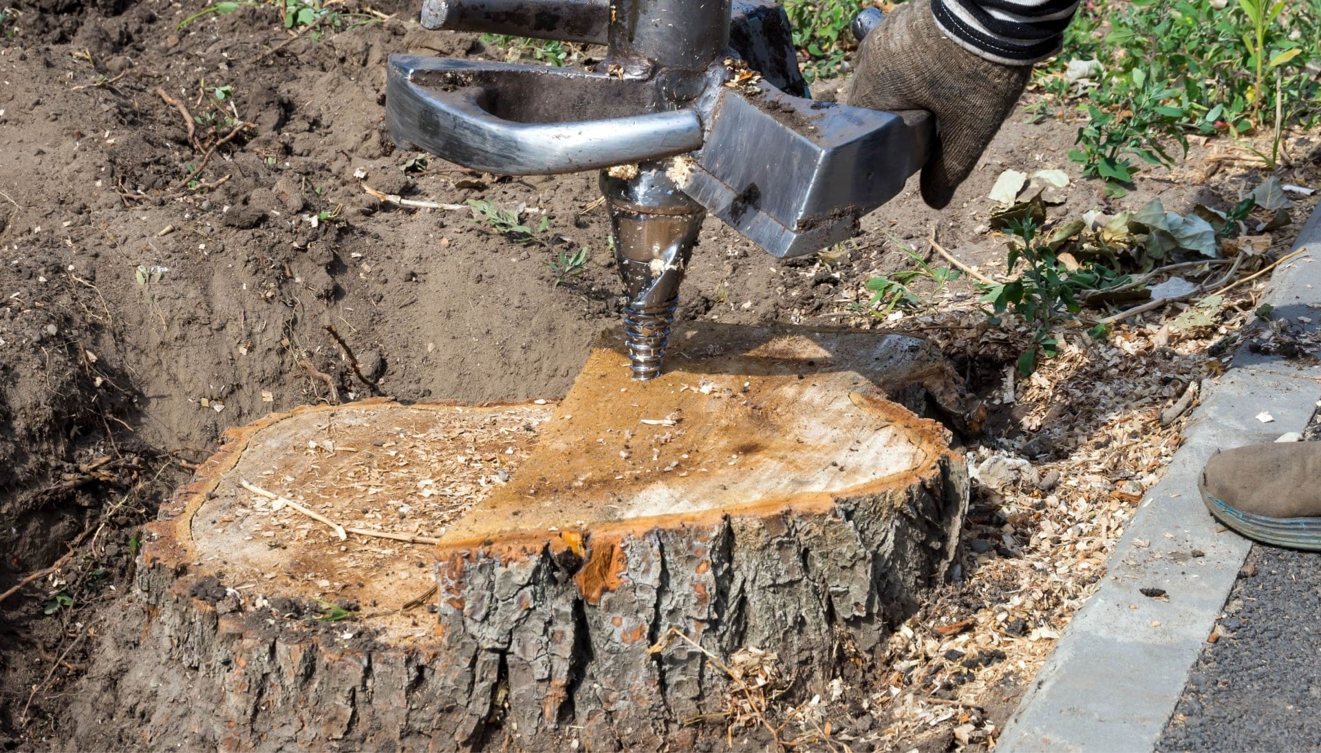 Greenville Tree stump removal
